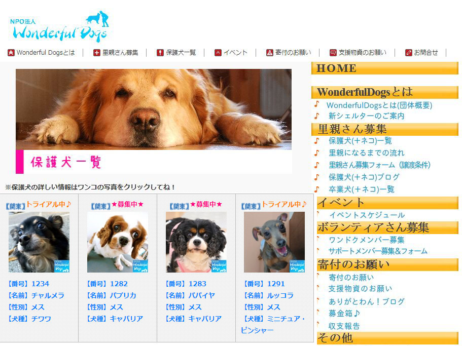 保護犬猫情報サイト　NPO法人Wonderful Dogs様